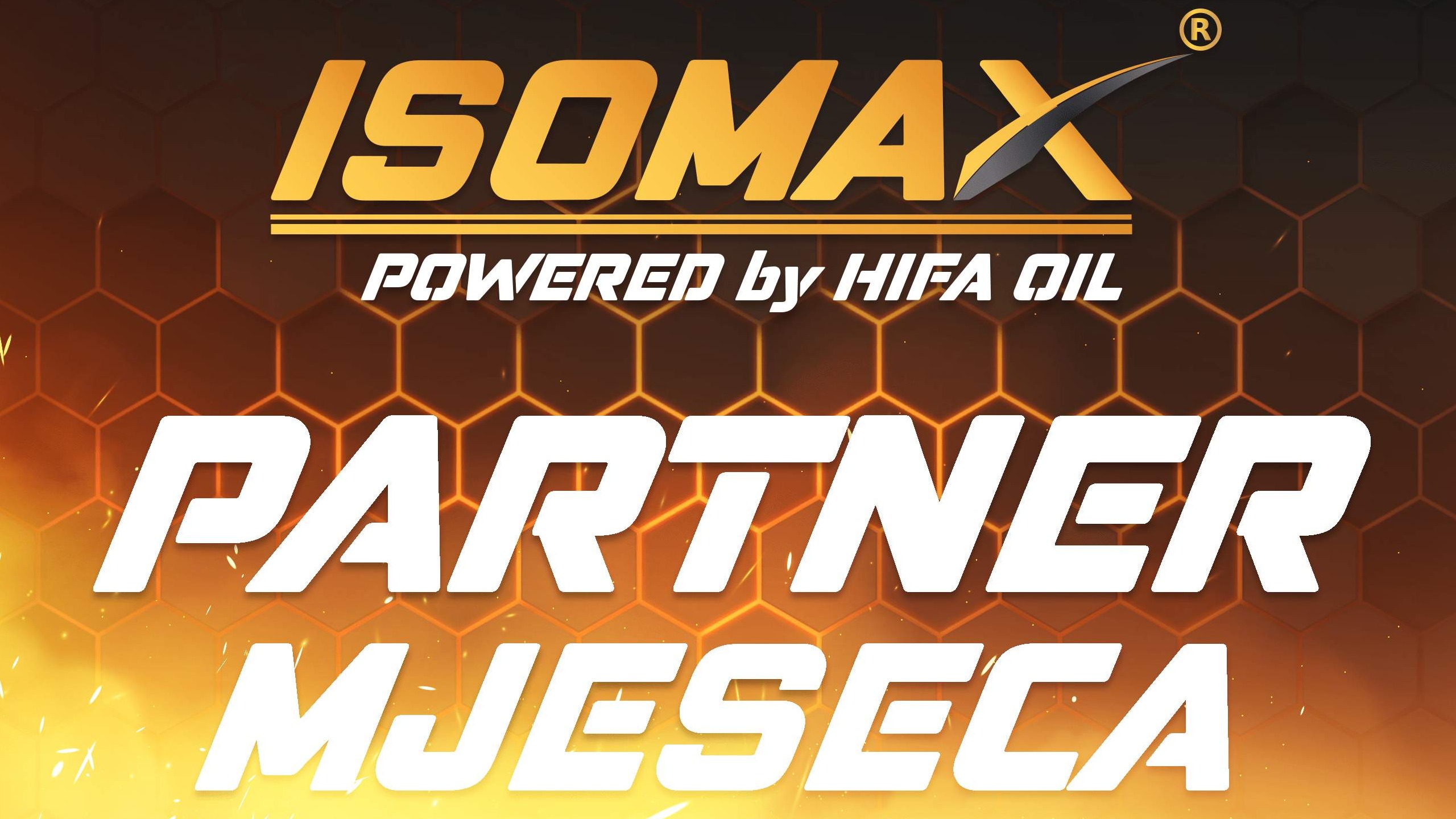 Partner mjeseca